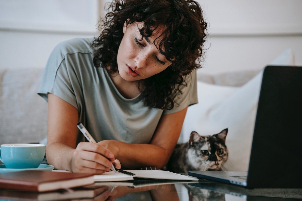 Uma jovem está apoiada em seu cotovelo estudando para o Vestibular Unifesp 2024 ao lado de um gato, ambos estão na frente de um notebook